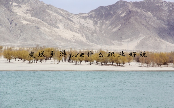 魔域手游pve什么职业好玩