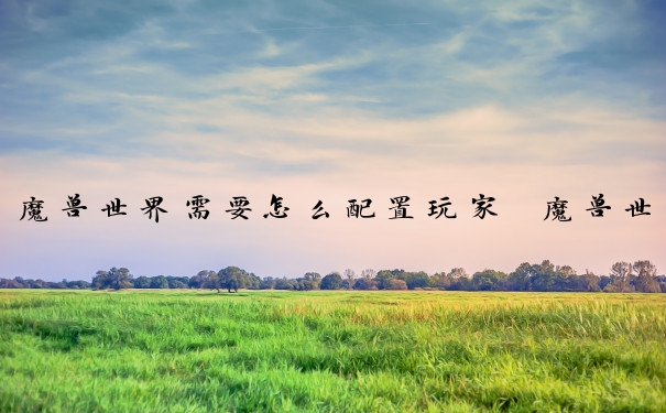魔兽世界需要怎么配置玩家　魔兽世界需要怎么配置玩家呢