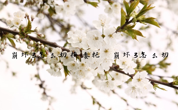 崩坏3怎么切换委托　崩坏3怎么切换委托角色