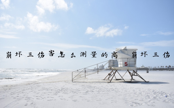 崩坏三伤害怎么测量的高　崩坏三伤害怎么测量的高一点