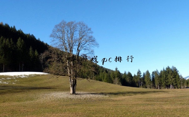 策略游戏pc排行