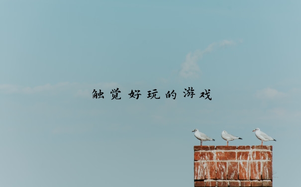 触觉好玩的游戏