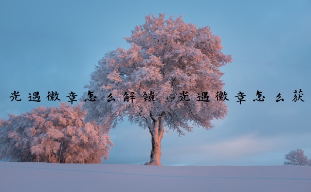 光遇徽章怎么解锁　光遇徽章怎么获得