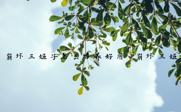 崩坏三姬子怎么培养好用　崩坏三姬子怎么培养好用的角色