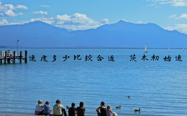 茨木速度多少比较合适　茨木初始速度