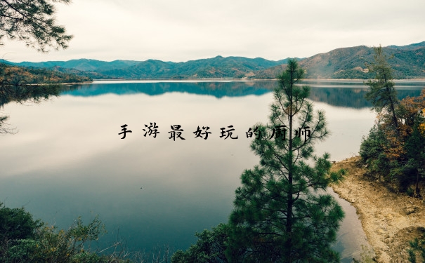 手游最好玩的厨师
