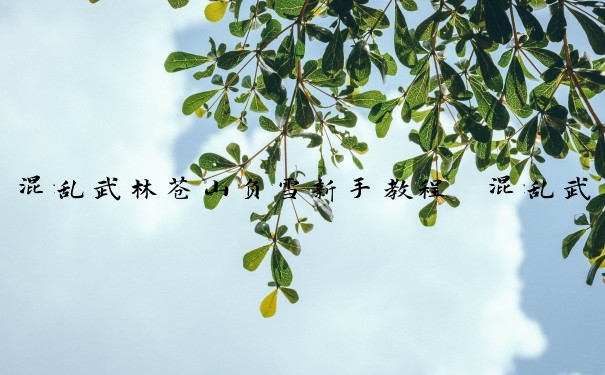 混乱武林苍山负雪新手教程　混乱武林苍山负雪武器怎么得