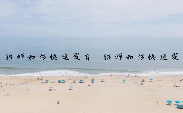 貂蝉如何快速发育　貂蝉如何快速发育经济