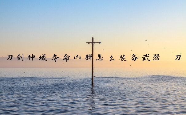 刀剑神域夺命凶弹怎么装备武器　刀剑神域夺命凶弹怎么装备武器技能