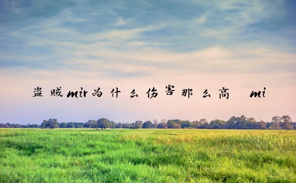 盗贼mir为什么伤害那么高　mir盗贼输出手法