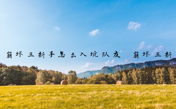 崩坏三新手怎么入坑队友　崩坏三新手怎么入坑队友的