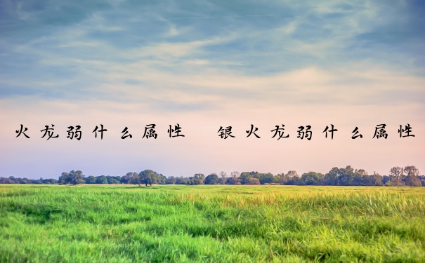 火龙弱什么属性　银火龙弱什么属性