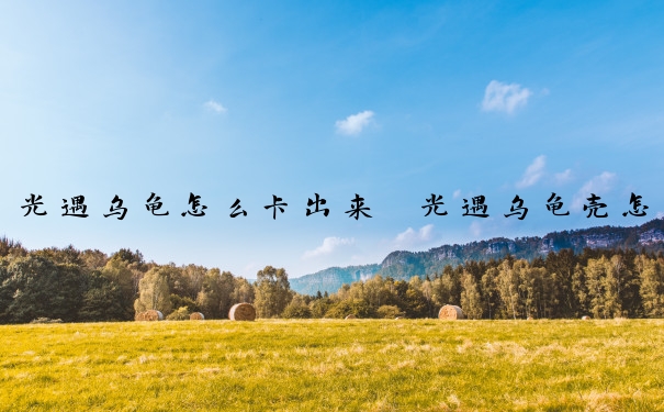 光遇乌龟怎么卡出来　光遇乌龟壳怎么获得