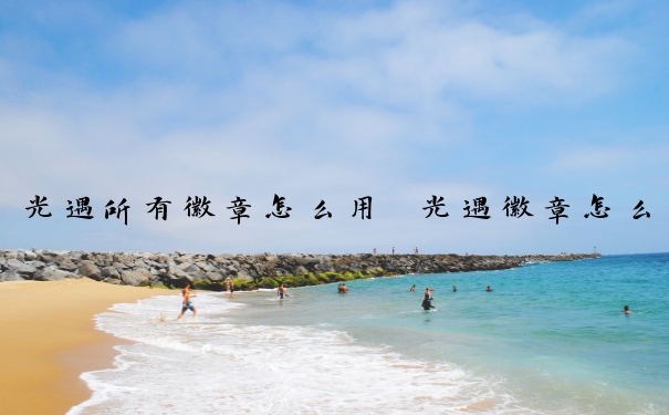 光遇所有徽章怎么用　光遇徽章怎么用安卓