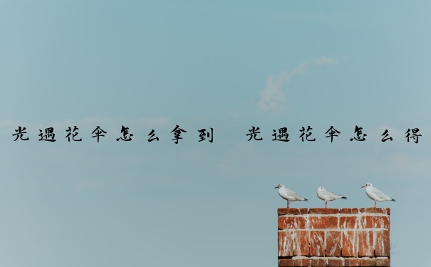 光遇花伞怎么拿到　光遇花伞怎么得