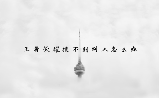 王者荣耀搜不到别人怎么办