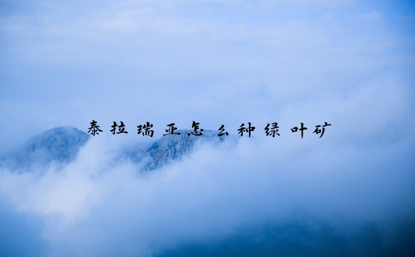 泰拉瑞亚怎么种绿叶矿