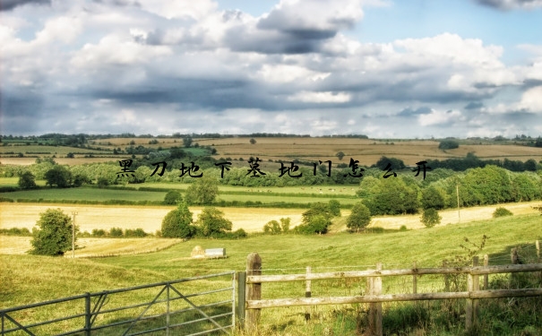 黑刀地下墓地门怎么开
