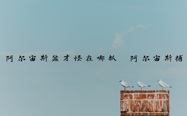 阿尔宙斯盆才怪在哪抓　阿尔宙斯捕捉地点