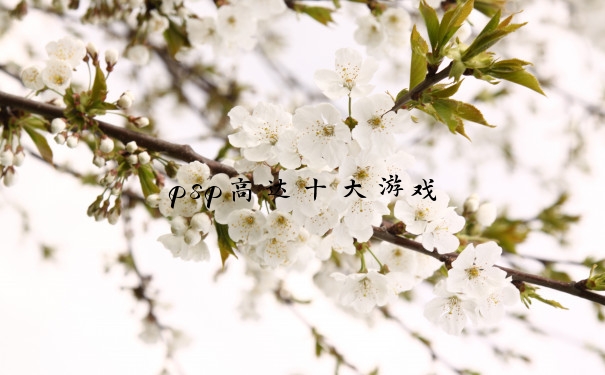 psp高达十大游戏