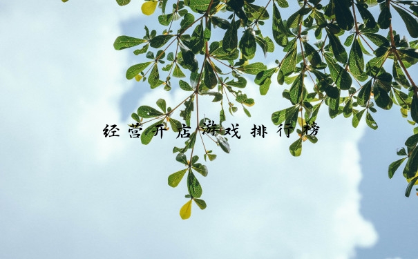 经营开店游戏排行榜