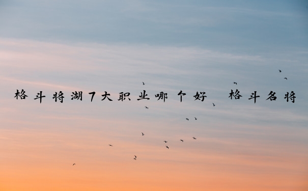 格斗将湖7大职业哪个好　格斗名将