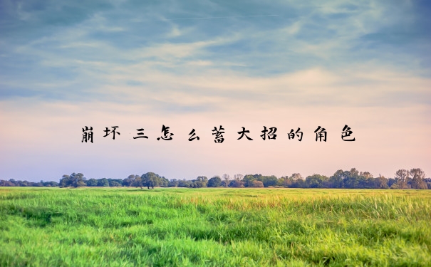崩坏三怎么蓄大招的角色
