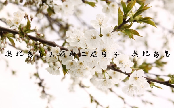 奥比岛怎么领取三层房子　奥比岛怎么领取三层房子的
