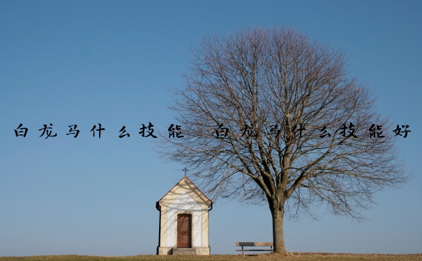 白龙马什么技能　白龙马什么技能好用