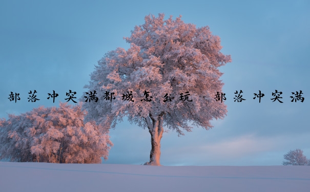 部落冲突满都城怎么玩　部落冲突满都城怎么玩的