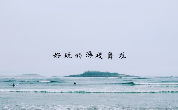 好玩的游戏舞龙