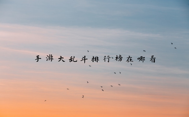 手游大乱斗排行榜在哪看