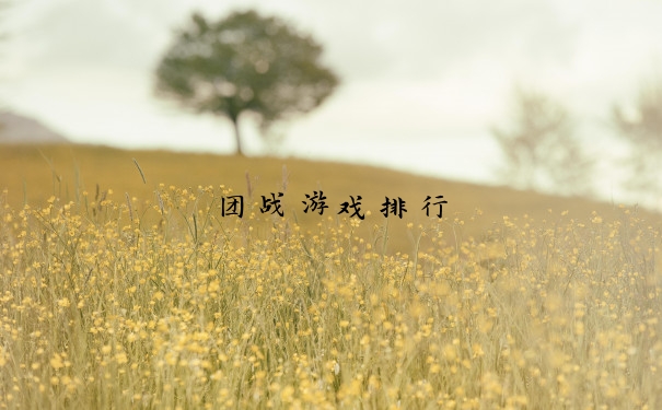 团战游戏排行