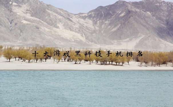 十大游戏黑科技手机排名