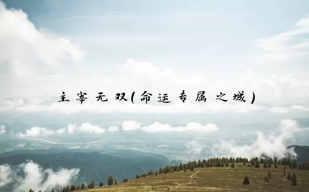 主宰无双（命运专属之城）