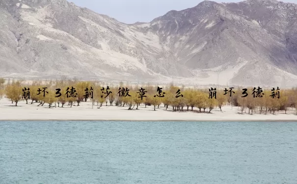 崩坏3德莉莎徽章怎么　崩坏3德莉莎徽章怎么获得