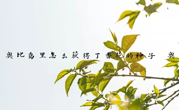 奥比岛里怎么获得丁香花的种子　奥比岛里怎么获得丁香花的种子呢