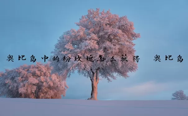 奥比岛中的粉玫瑰怎么获得　奥比岛中的粉玫瑰怎么获得的