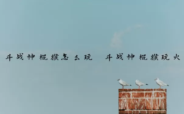 斗战神棍猴怎么玩　斗战神棍猴玩火还是电