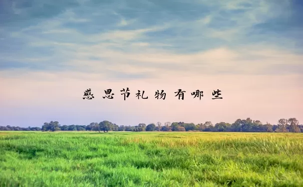 感恩节礼物有哪些