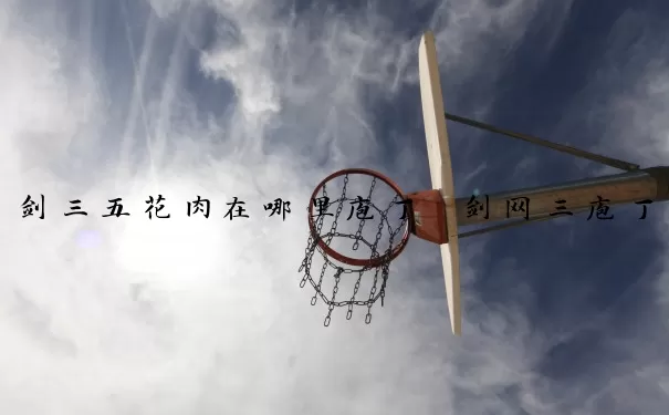 剑三五花肉在哪里庖丁　剑网三庖丁五花肉