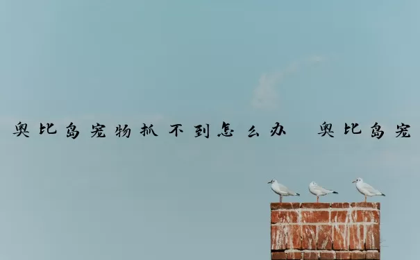 奥比岛宠物抓不到怎么办　奥比岛宠物抓不到怎么办呢