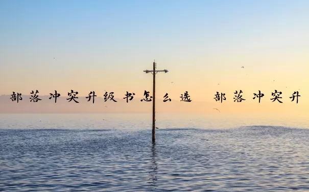 部落冲突升级书怎么选　部落冲突升级书怎么选择