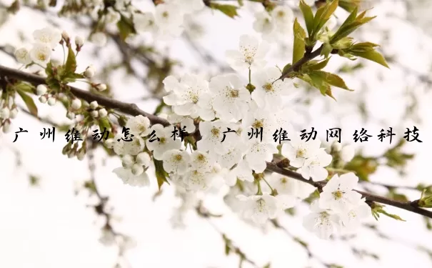 广州维动怎么样　广州维动网络科技有限公司