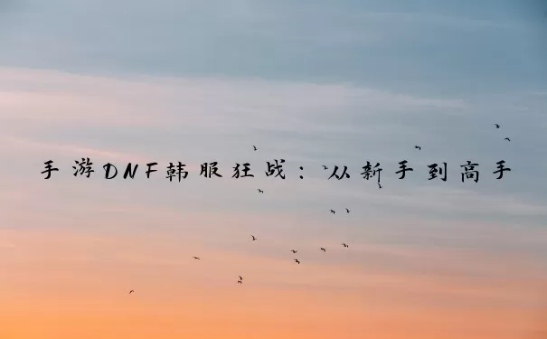 手游DNF韩服狂战：从新手到高手的全方位攻略