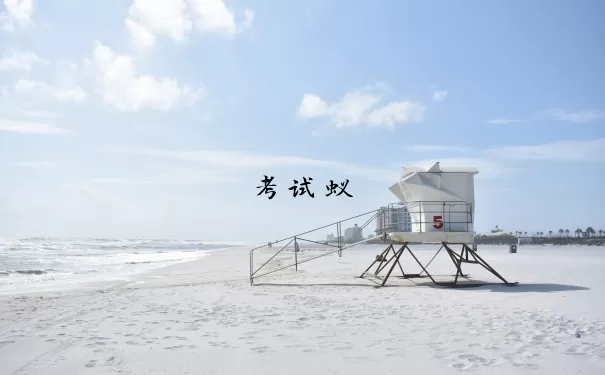 考试蚁