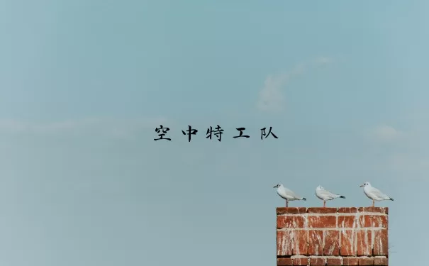 空中特工队