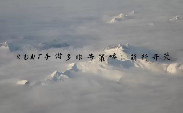 《DNF手游多账号策略：萌新开荒利器与进阶玩家的效率革命？》