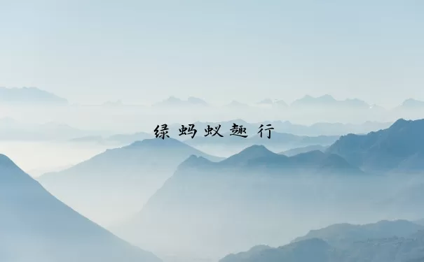 绿蚂蚁趣行