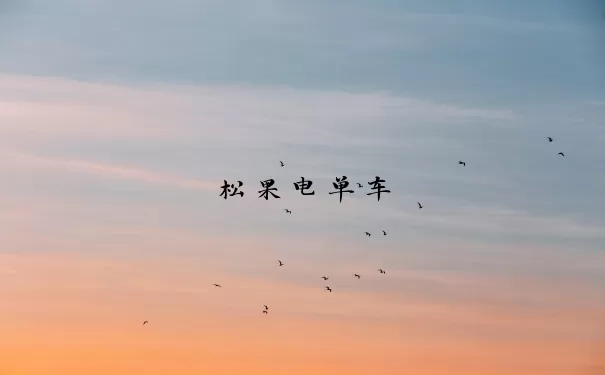 松果电单车